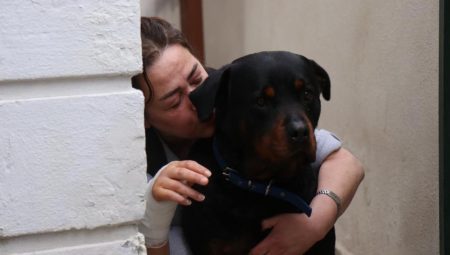 Sakarya’da köpek besleyen kadın sokak köpeğinin saldırısına uğradı: ‘Ölümden döndüm’