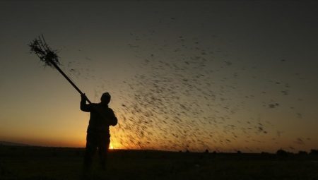 Tarım işçilerinin günlük ücreti 2023’te 512 TL oldu