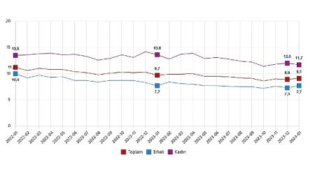 TÜİK: Mevsim etkisinden arındırılmış işsizlik oranı %9,1 seviyesinde gerçekleşti