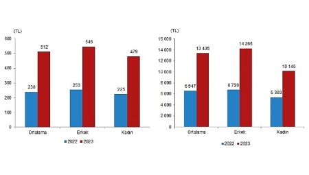 TÜİK: Mevsimlik tarım işçilerinin ortalama günlük ücretleri 2023 yılında %114,6 arttı