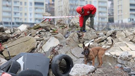 ‘Zeyna’dan Büyük Başarı