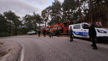 Antalya’da ormanlık alanda yangın