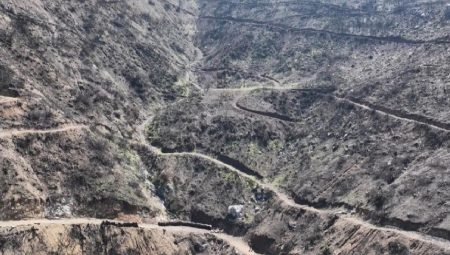 Hatay’da 663 hektar yangın alanı yeniden yeşillendirildi