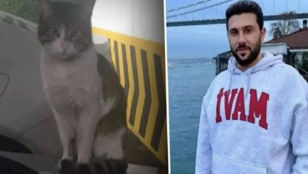 Kedi Eros’u öldüren İbrahim Keloğlan serbest bırakıldı