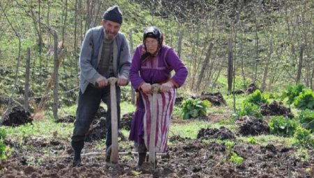 TZOB Başkanı Şemsi Bayraktar: Kırsal nüfusun oranı yüzde 23’e geriledi